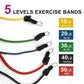 5 Piece Exercise Band Set for Strength Training
